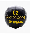 Wall Ball ZIVA Performance